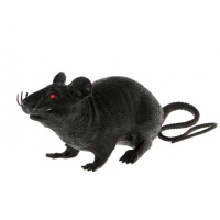 Rata negra - 9 x 22 cm