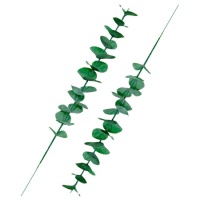 Ramas de hojas de Eucalipto - 2 unidades