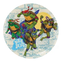 Platos de Tortugas Ninja de 18 cm - 8 unidades