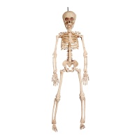 Colgante de esqueleto con luz de 41 cm