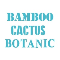 Plantilla Stencil palabras Botanic, Cactus y Bamboo de 20 x 28,5 cm - Artis decor - 1 unidad