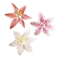 Decoración para tartas de flores lilas surtidas de 8 cm - Dekora - 20 unidades