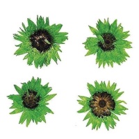 Flor seca prensada baby everlasting verde de 2 cm - Innspiro - 10 unidades