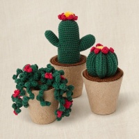 Kit de crochet con caja regalo - Colección de cactus - DMC