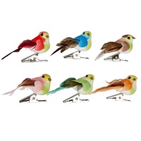 Set de pájaros mini decorados con pinza - 6 unidades