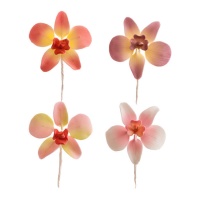 Decoración de orquídeas de colores de 7,6 cm - Dekora - 20 unidades