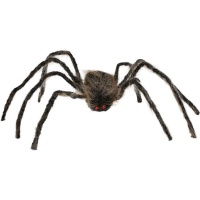 Araña marrón de patas largas de 75 cm