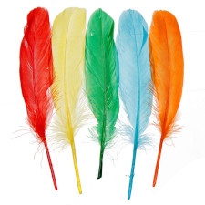 Plumas de colores