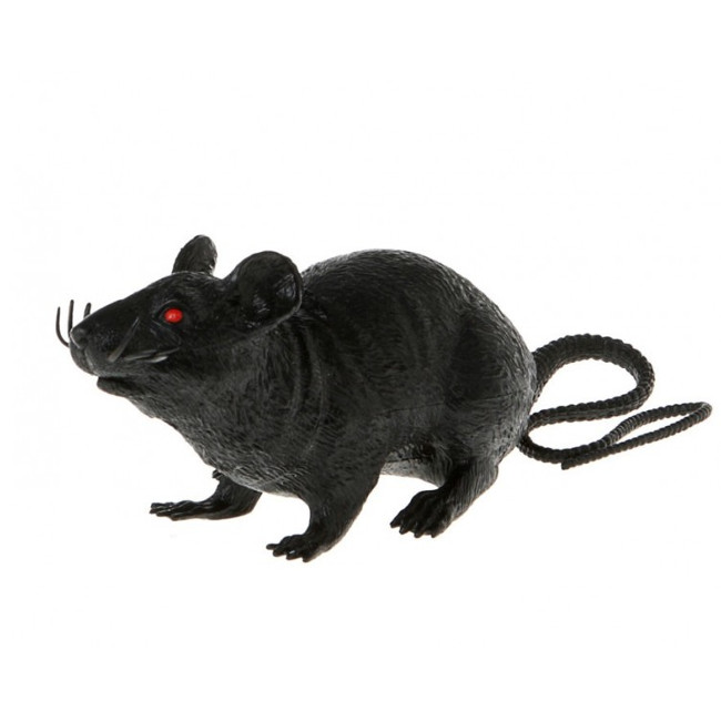 Vista principal del rata negra - 9 x 22 cm en stock