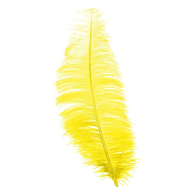 Vista delantera del plumas de Charleston de 30 cm - 1 unidad en color amarillo, azul y verde