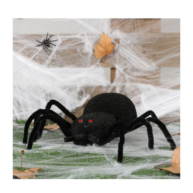 Vista delantera del araña negra - 30 cm