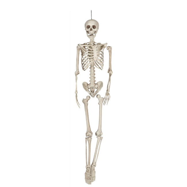 Vista principal del colgante de esqueleto - 160 cm