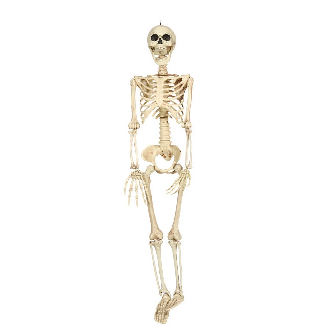 Vista frontal del colgante de esqueleto - 90 cm
