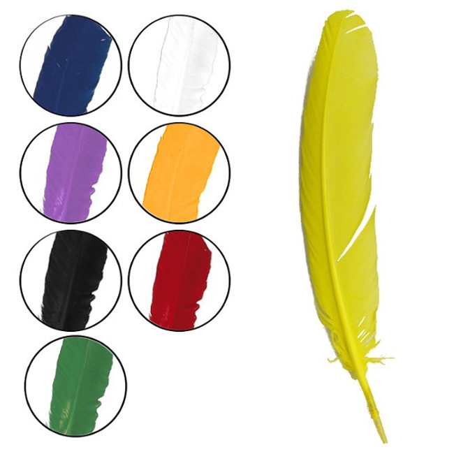 Vista frontal del plumas sintéticas de colores de 30 cm - 10 unidades en color amarillo, azul, blanco, lila, naranja, negro, rojo y verde