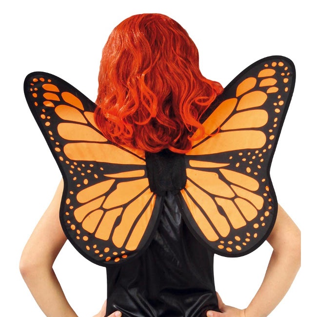 Vista frontal del alas de mariposa naranjas y negras - 49 x 50 cm en stock