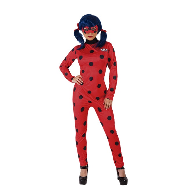 Vista principal del disfraz de Ladybug
