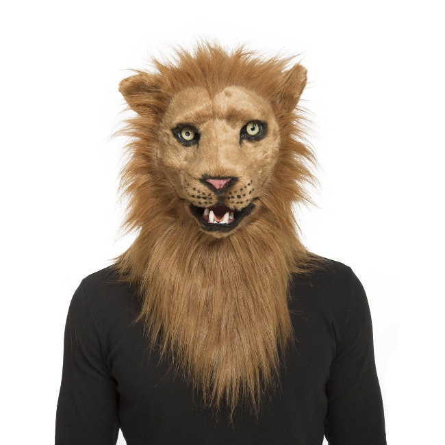 Vista principal del máscara de león en stock