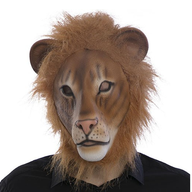 Vista frontal del máscara de león en stock