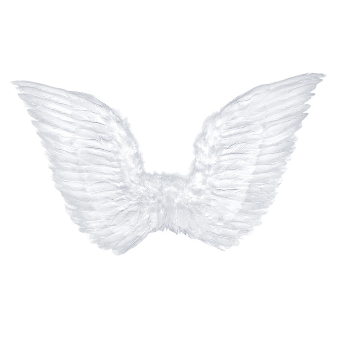 Vista delantera del alas blancas de plumaje - 75 X 45 cm en stock