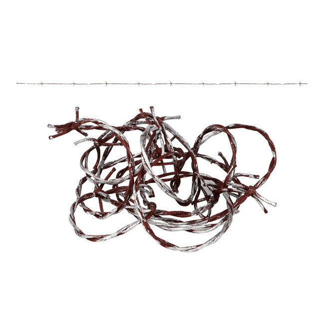 Vista frontal del alambre de espinos de 2,70 cm en stock
