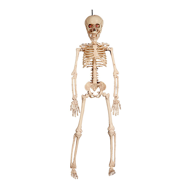 Vista principal del colgante de esqueleto en stock