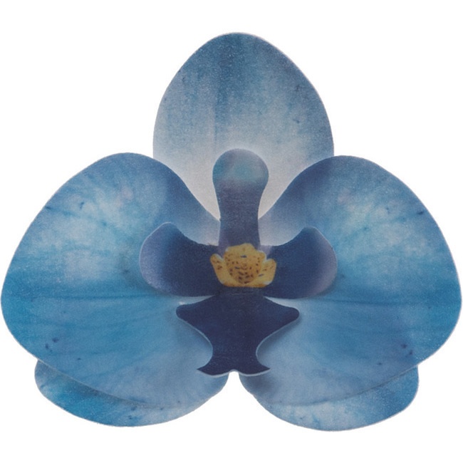 Vista principal del obleas de flores de Orquídeas de 8,5 x 7,5 cm - Dekora - 10 unidades en color azul, blanco y rosa