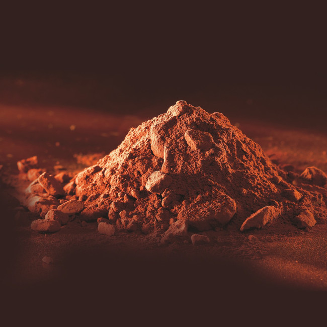 Vista delantera del cacao en polvo de 1,5 kg - Puratos en stock