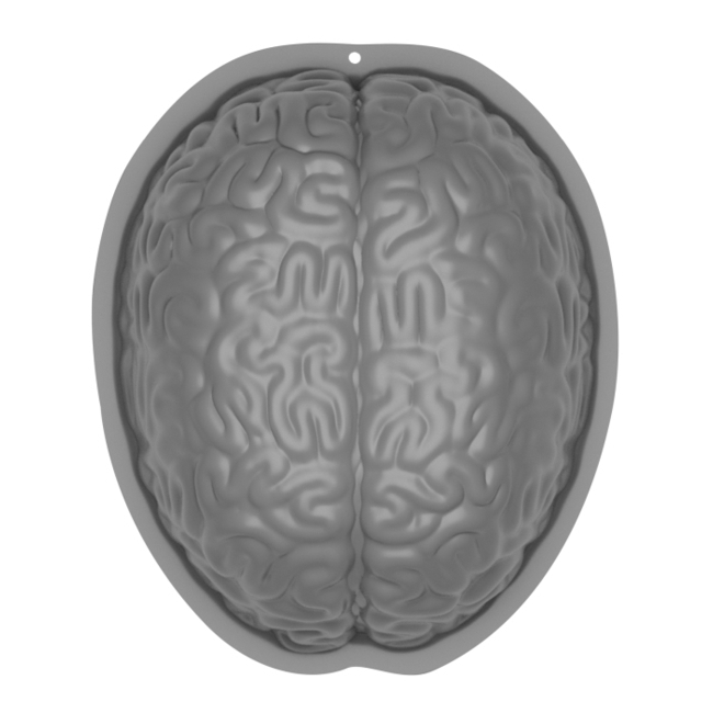 Vista frontal del molde de plastico de cerebro - Amscan