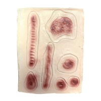 Cicatrices de látex - 6 unidades