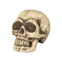 Calavera decorativa de 34 cm