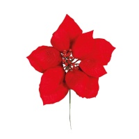 Flor de pascua roja - 20 cm