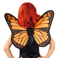 Alas de mariposa naranjas y negras - 49 x 50 cm