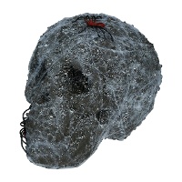 Calavera con telarañas y arañas de 20 cm