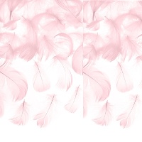 Plumas decorativas - 3 gr