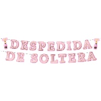 Guirnalda de Despedida de soltera rosa y dorado