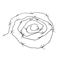 Alambre de espinos - 5,20 m