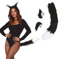 Conjunto de complementos de lince