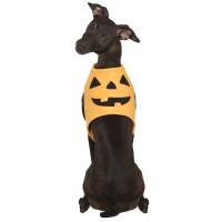 Disfraz para perro de calabaza