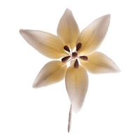 Figuras de azúcar de orquídeas blancas de 8 cm - Dekora - 20 unidades