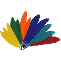 Plumas naturales de colores de 2,5 x 14 cm - 60 unidades