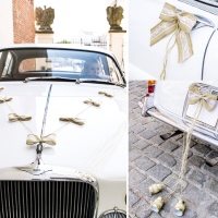 Kit decorativo para coche Natural Weddding