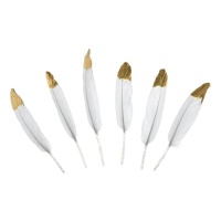 Plumas blancas con punta dorada - 6 unidades