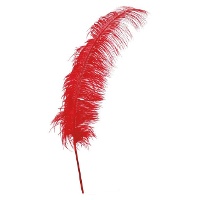 Plumas de avestruz de 50 cm - 12 unidades