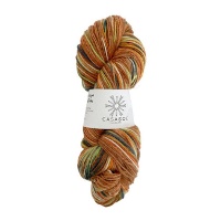 Sock hilo calcetín de 100 gr - Casasol