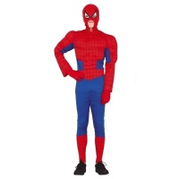 Disfraz de superhéroe araña juvenil