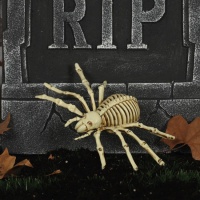 Esqueleto de araña de 24 cm