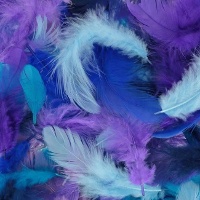 Plumas decorativas de colores surtidos de 10 gr