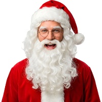 Peluca y barba de Papá Noel de 250 gr