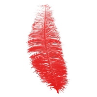 Plumas de Charleston de 30 cm - 12 unidades