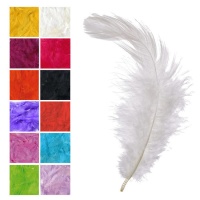 Plumas decorativas suaves de colores de 3 gr